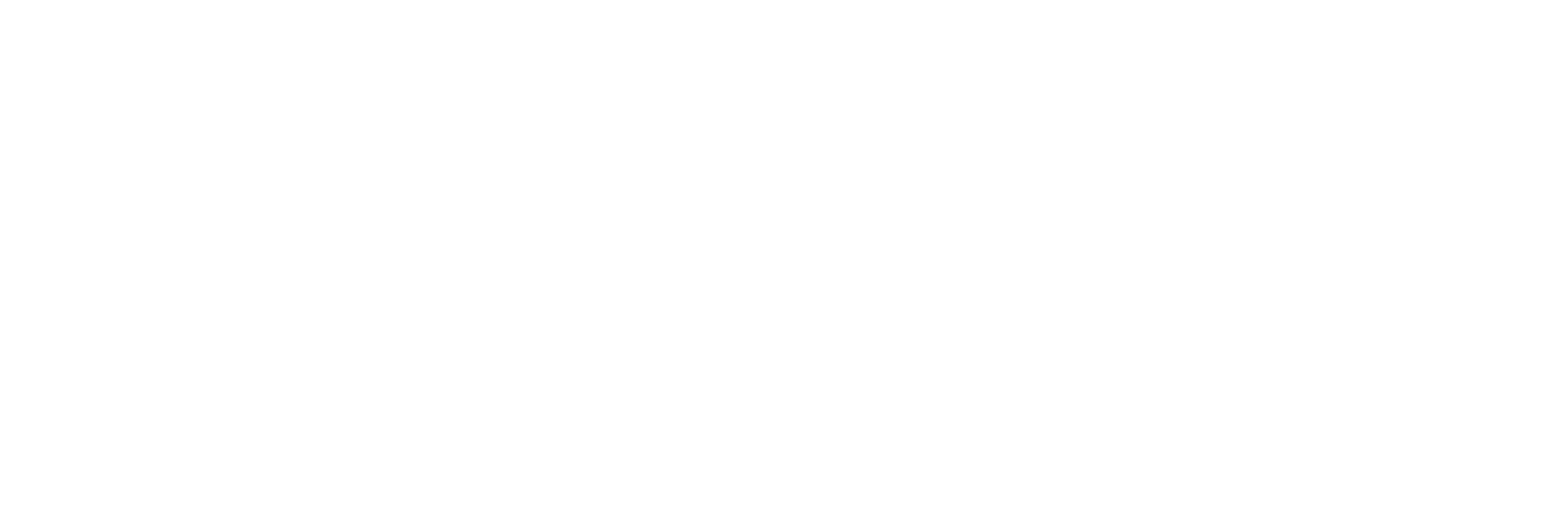 Spandovia Pflege